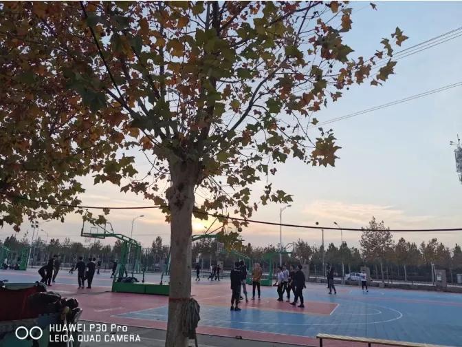 想见你西南政法大学,去河北政法职业学院