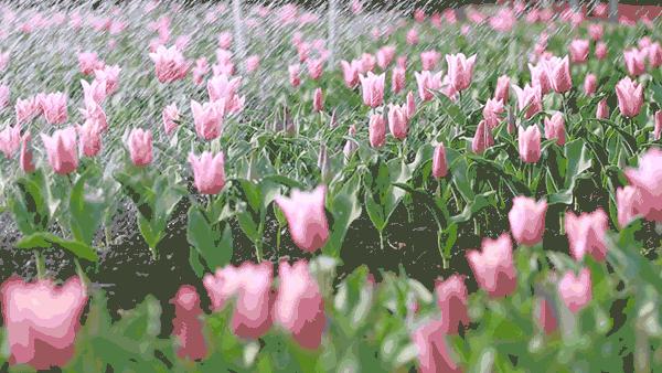 三月踏青去哪里,三月春游一日游攻略