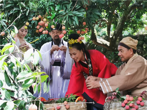 2023年镇隆荔枝开发了没有,茂名荔枝带动乡村振兴