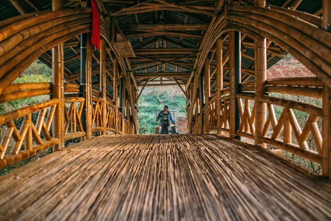 85后香港博士，为重庆人修了一座桥，上万村民请神仙加持