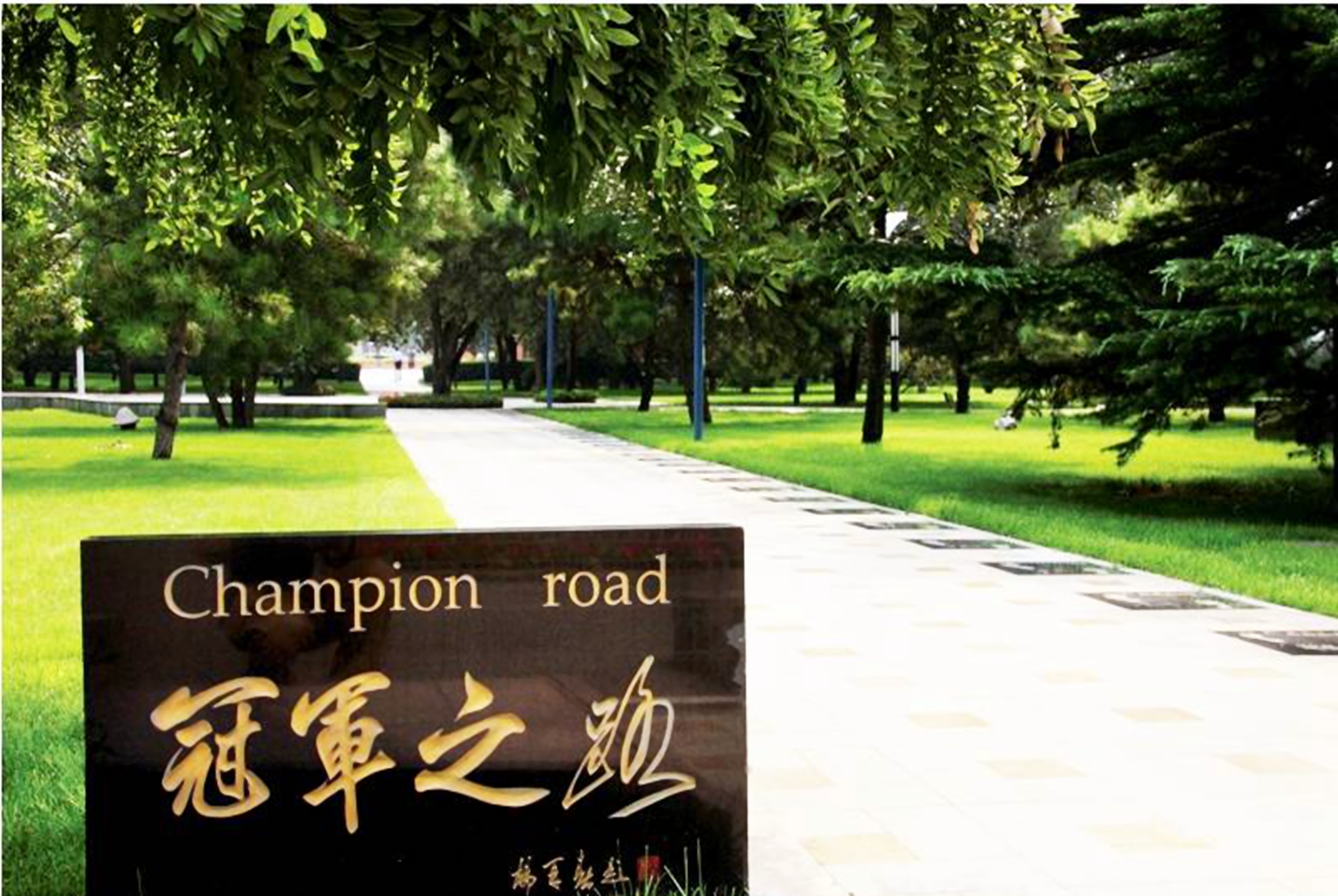 北京的这所大学，外地人“挤破了头”想进去，但北京本地人看不上