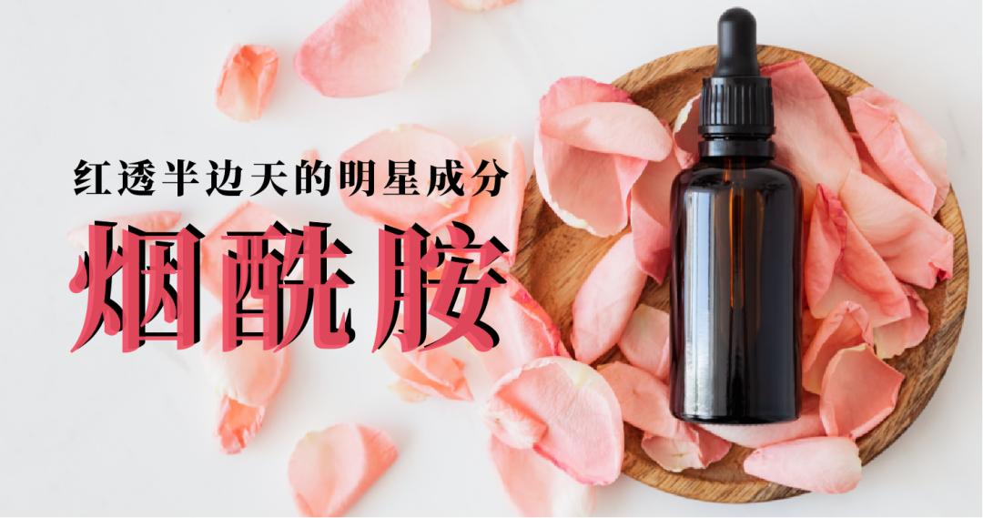 成分烟酰胺的精华能淡斑吗,成分表里的烟酰胺排第几位好