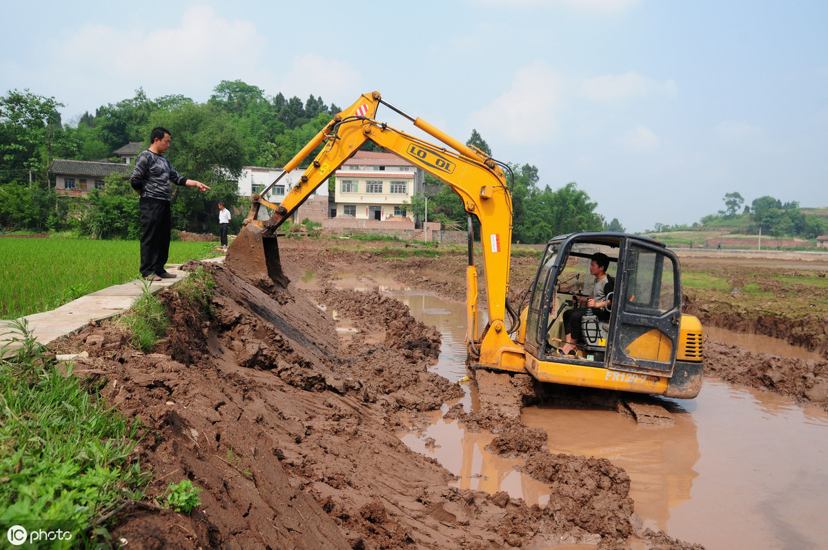 养殖河蟹的条件和方法是什么,正确放苗是河蟹养殖成功的第一步