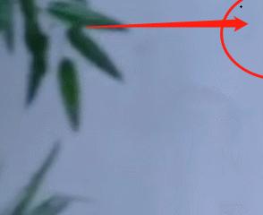 肖战花生没扔进嘴里还嚼了几下,肖战演技眼神魅惑