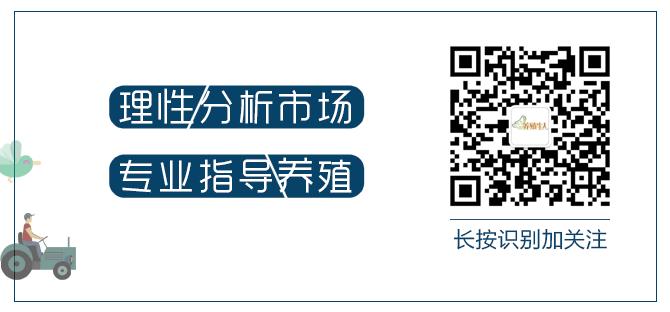 青蛙养殖和蟾蜍养殖,青蛙和癞蛤蟆能够合养吗