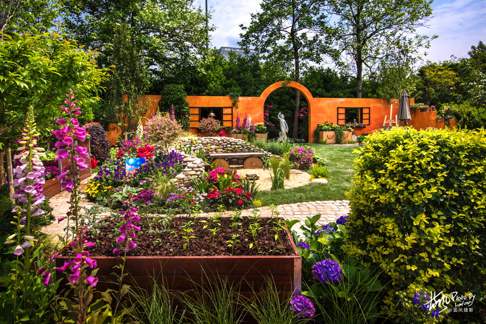 上海国际花展一览表,上海国际花展一览