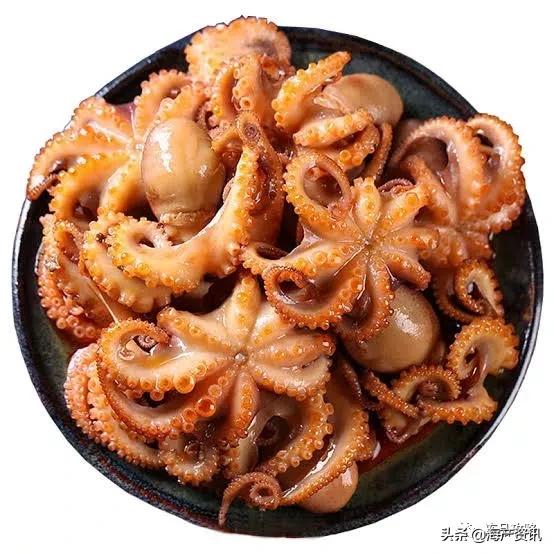 八爪鱼章鱼鱿鱼墨鱼乌贼哪种好吃,章鱼八爪鱼鱿鱼墨鱼乌贼怎么区分