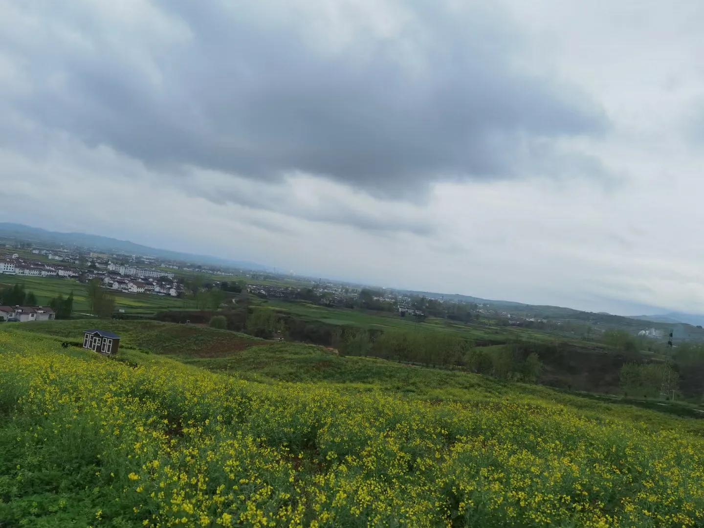 春天真美啊美得像什么,春天真美呀补充完整句子