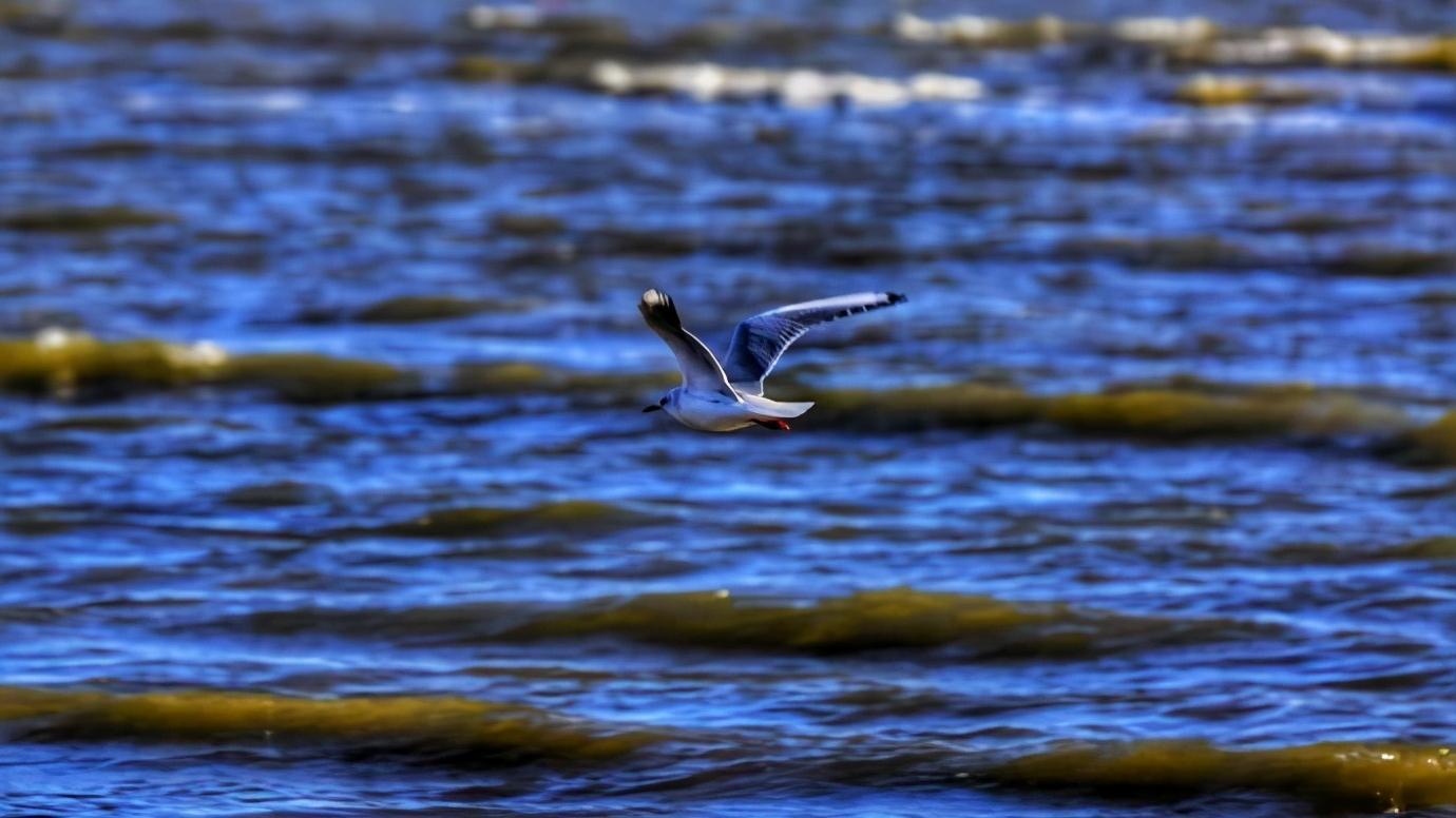 辽宁省内的葫芦岛市简介,辽宁省葫芦岛市各区