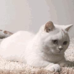 2018年世界十大科技发明,有创造力的发明是什么