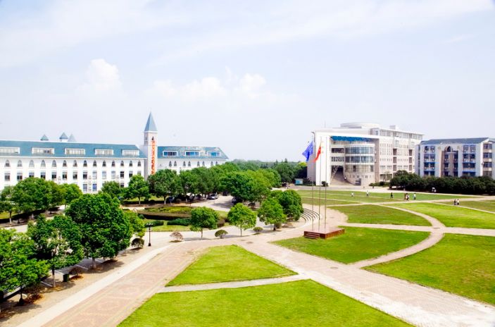 武汉中学排名前十的学校,武汉最有气势的小学