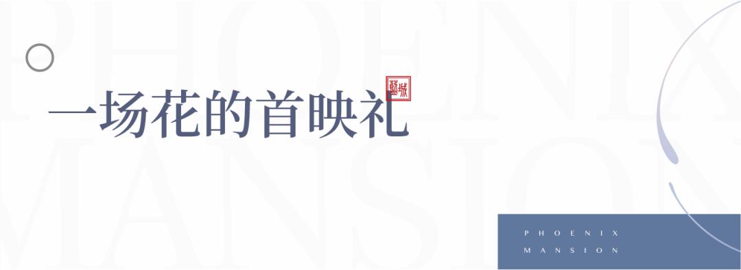 这座蓝城打造的城市中的秘密花园，惊艳了郑州人