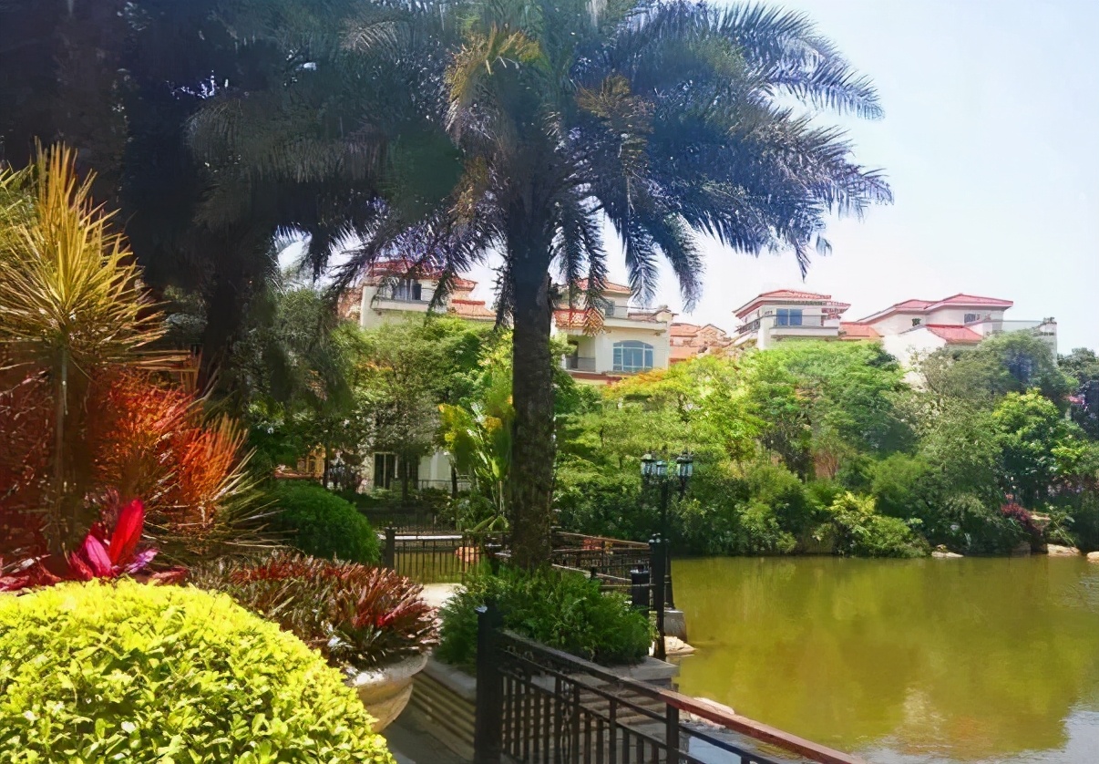 我会副会长吴卓凡企业代理项目——中山汇景东方·雁鸣湖