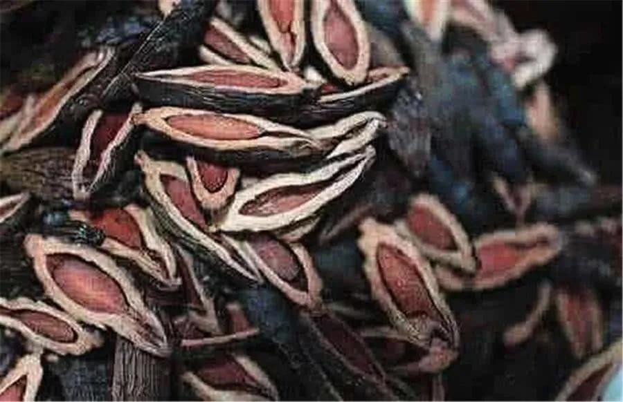 吃槟榔犯病是什么情况,吃槟榔脏器衰竭