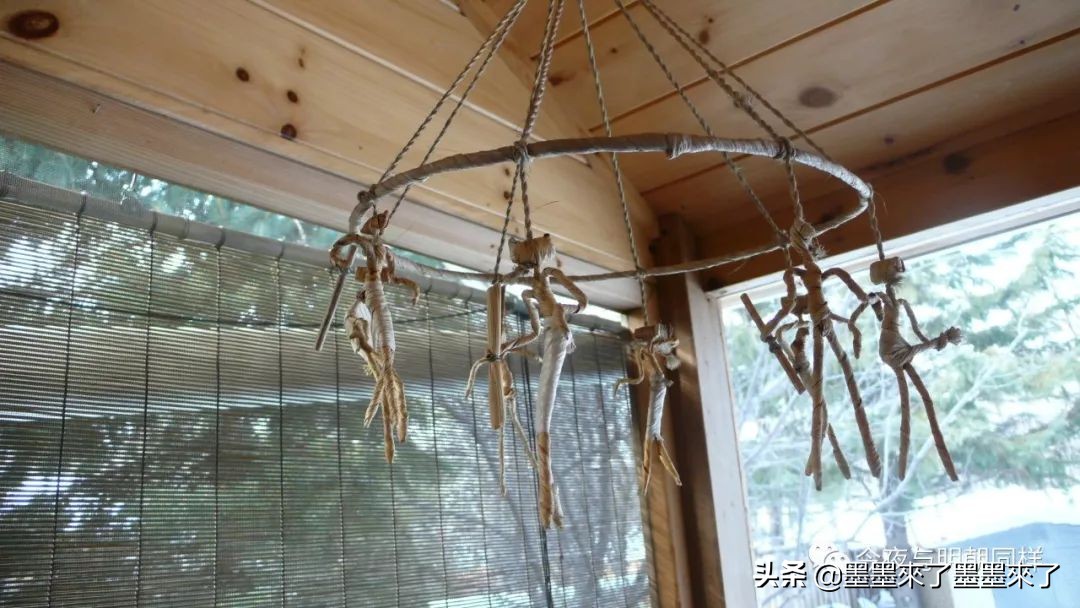 加拿大人慢节奏,加拿大人的日常生活