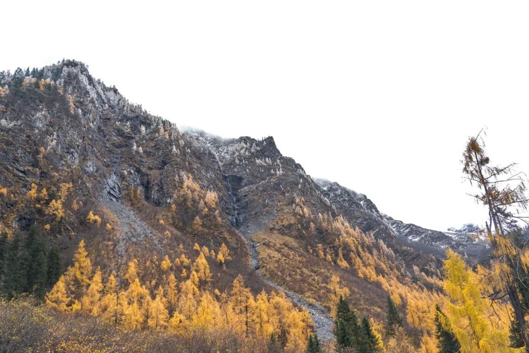 绫充簹缃楅湼鐜嬪北鏃呮父瑙嗛,绫充簹缃楅湼鐜嬪北鍏ㄦ櫙