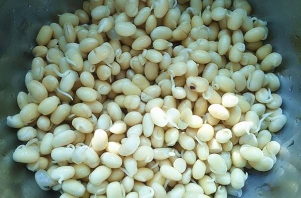 乡情散文田野情怀,春念乡情散文