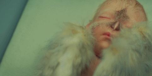 触及各种禁忌点的邪典之作被改编成了电影，一开播就大获好评