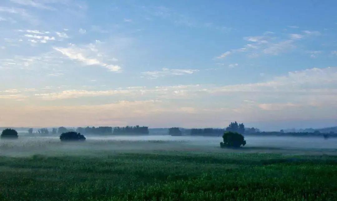 武清区最新发展情况,武清城市的变化