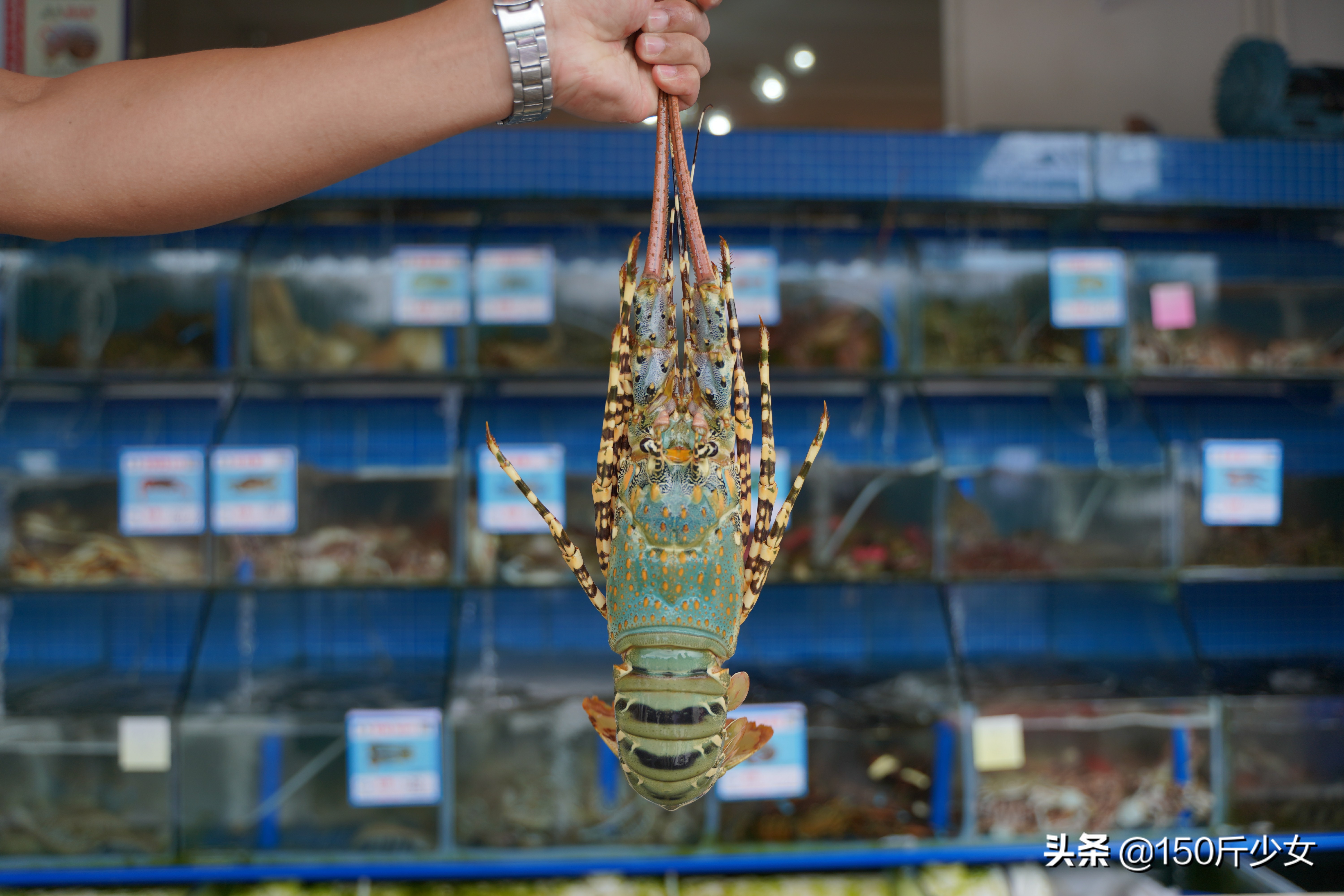 想念三亚的阳光和沙滩海浪,三亚期盼已久的大海