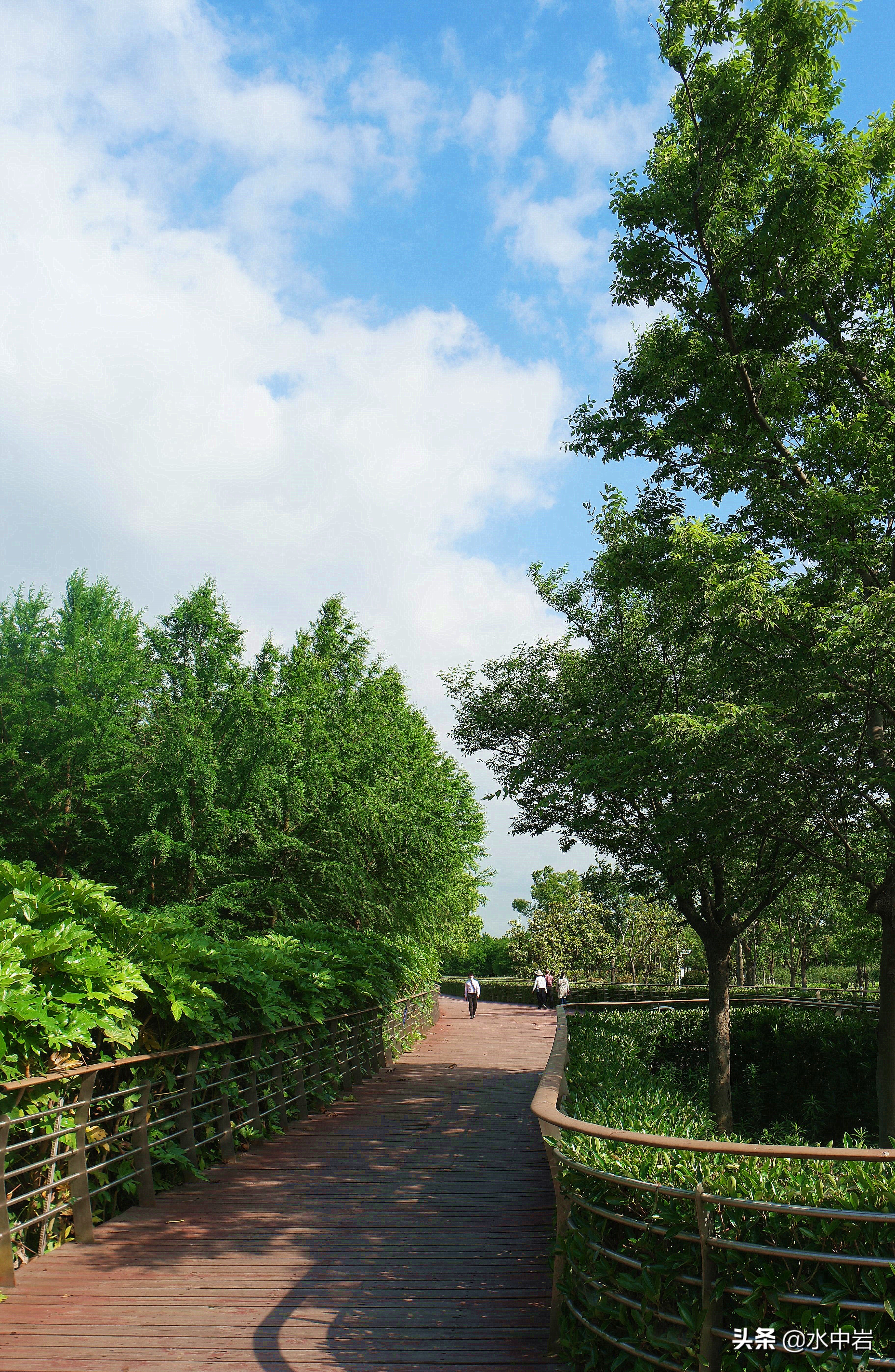 长江流域发生了几次大型洪涝灾害,江苏历史上遭遇的洪水