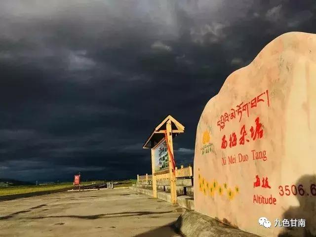 六月下旬甘南大草原花海,七月的甘南草原花海风光