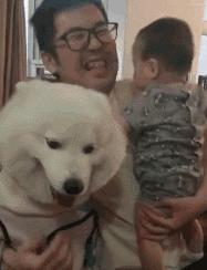 当狗狗吃醋时的表现,狗狗吃醋时会有什么表现