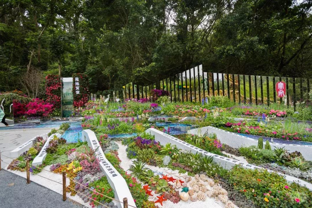 未来10天预警,深圳最最最最火的地方在这里,美女都赶来打卡