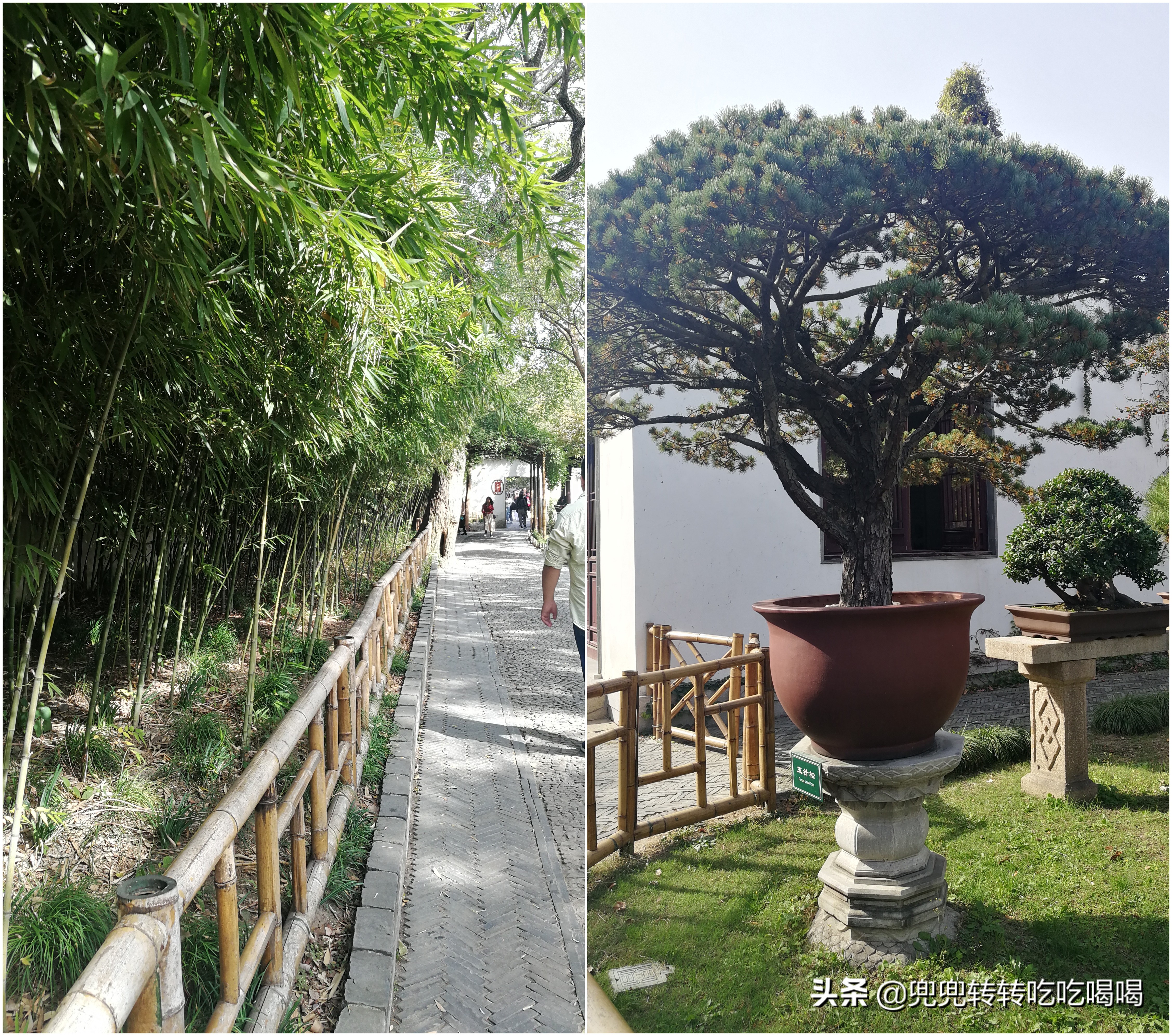 上海到苏州二日游详细攻略,上海往返苏州一日游