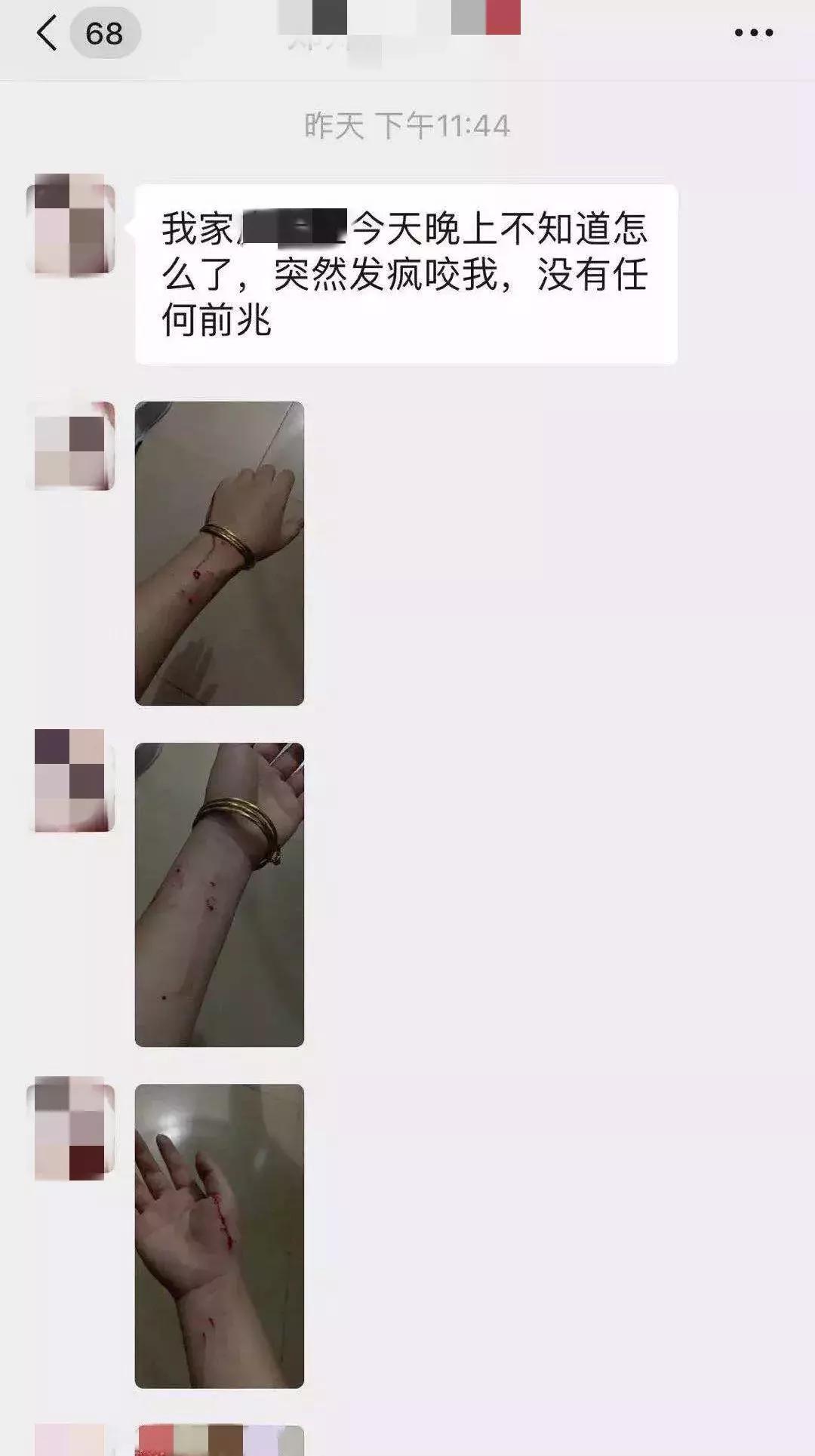 养了三年的猫突然想攻击我,养了两年的猫对我特别防备