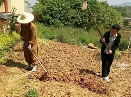 抢抓农时开展农业生产,农民纷纷抢抓春耕生产有利时机