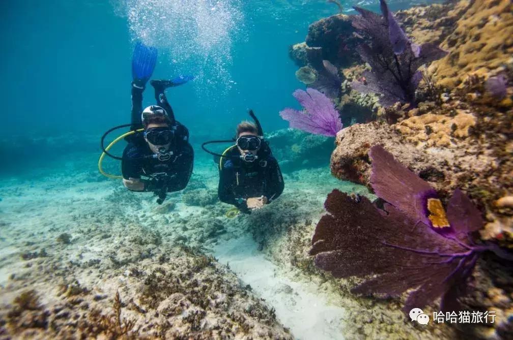 水肺潜30米休闲潜水教程,水肺潜水入门基础教程