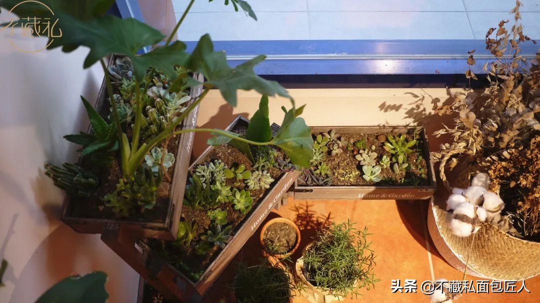 端午去哪儿杭州,杭州端午假期去哪里