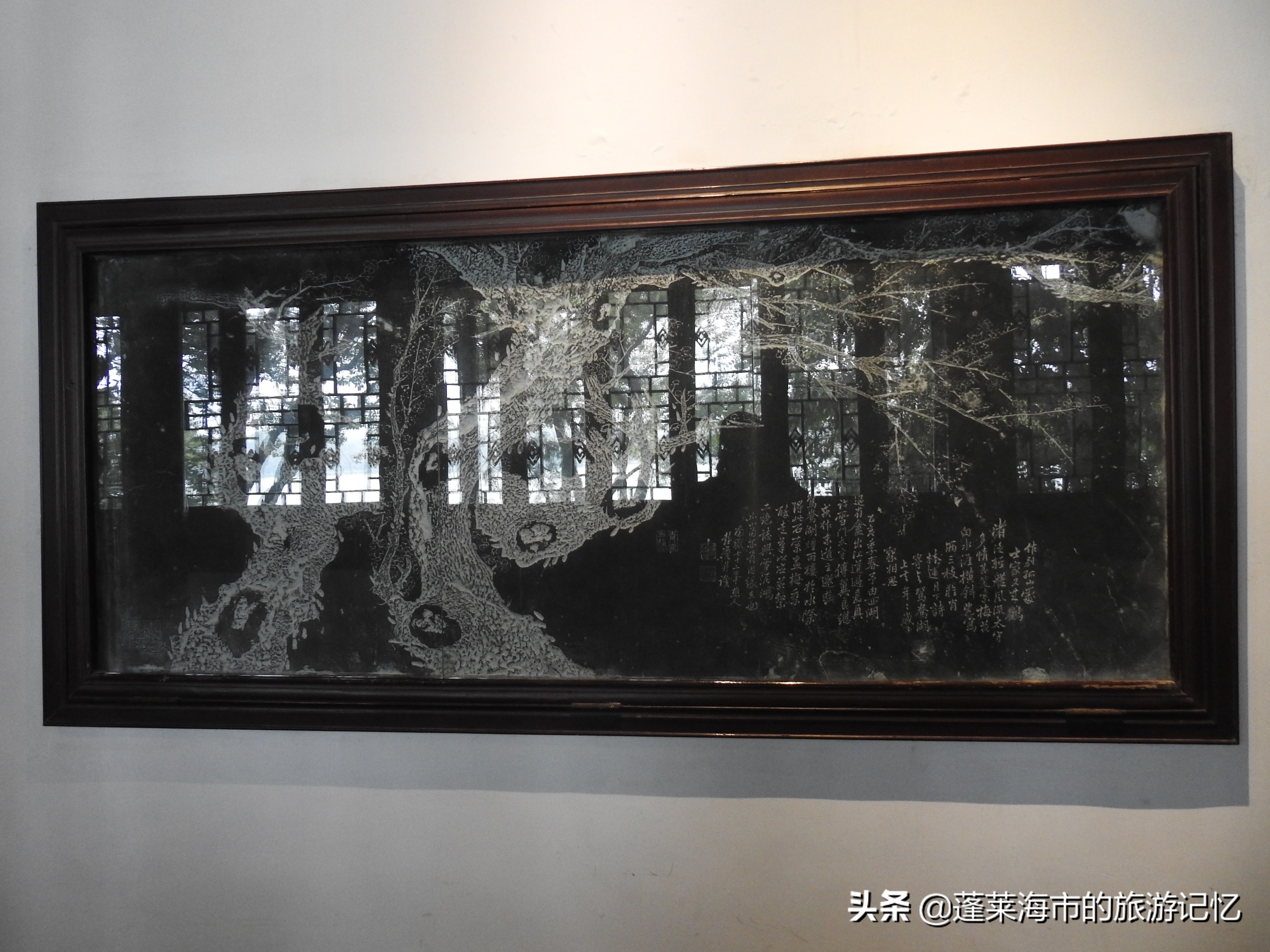 嘉兴南湖哪个省,嘉兴南湖最大的镇