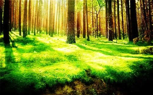 焦虑情绪怎么改正,焦虑症怎么缓解焦虑情绪