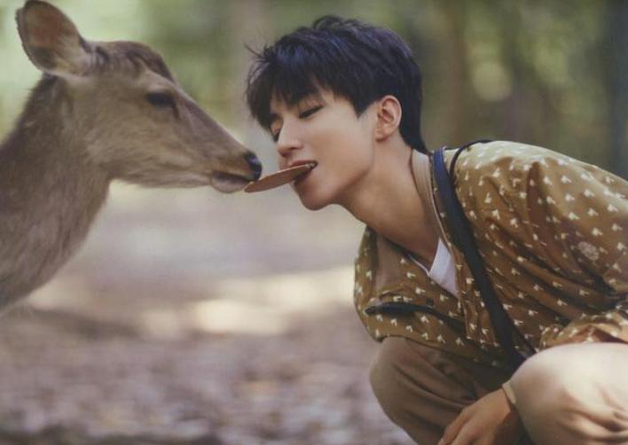 明星偷吃零食被发现,高圆圆被星探发现的照片