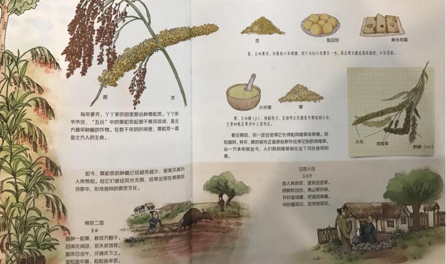 怎样认识语文教科书的地位和作用,如何正确解读部编语文教材