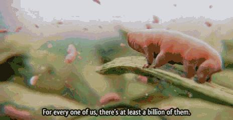 超过这个时间，百万螨虫陪你睡