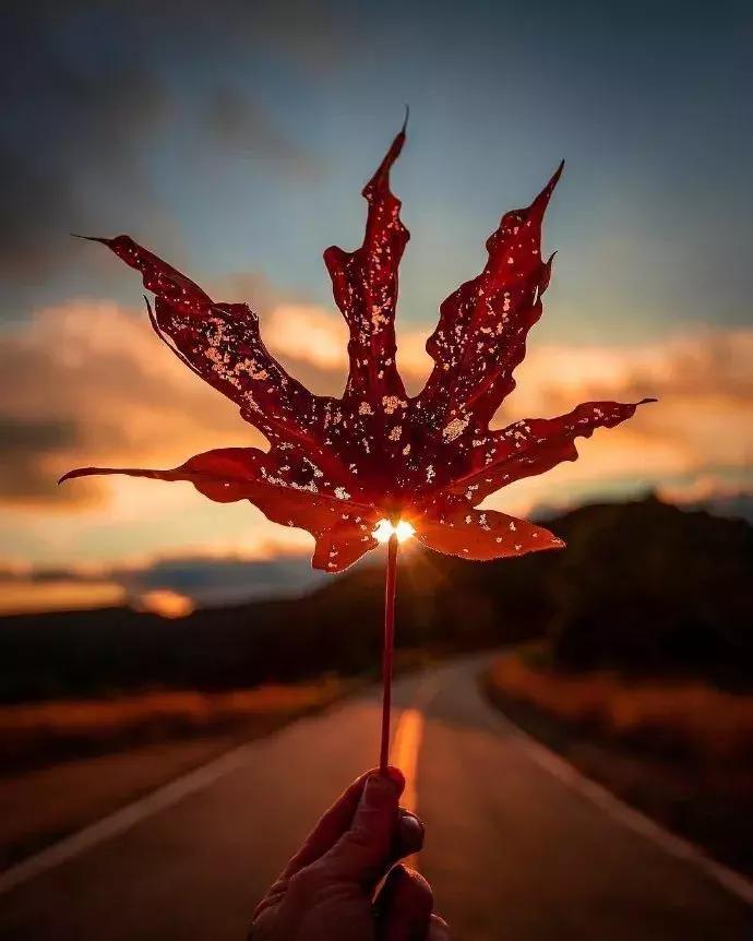 从2000年到2023年的歌最火的,1999年到现在经典歌曲