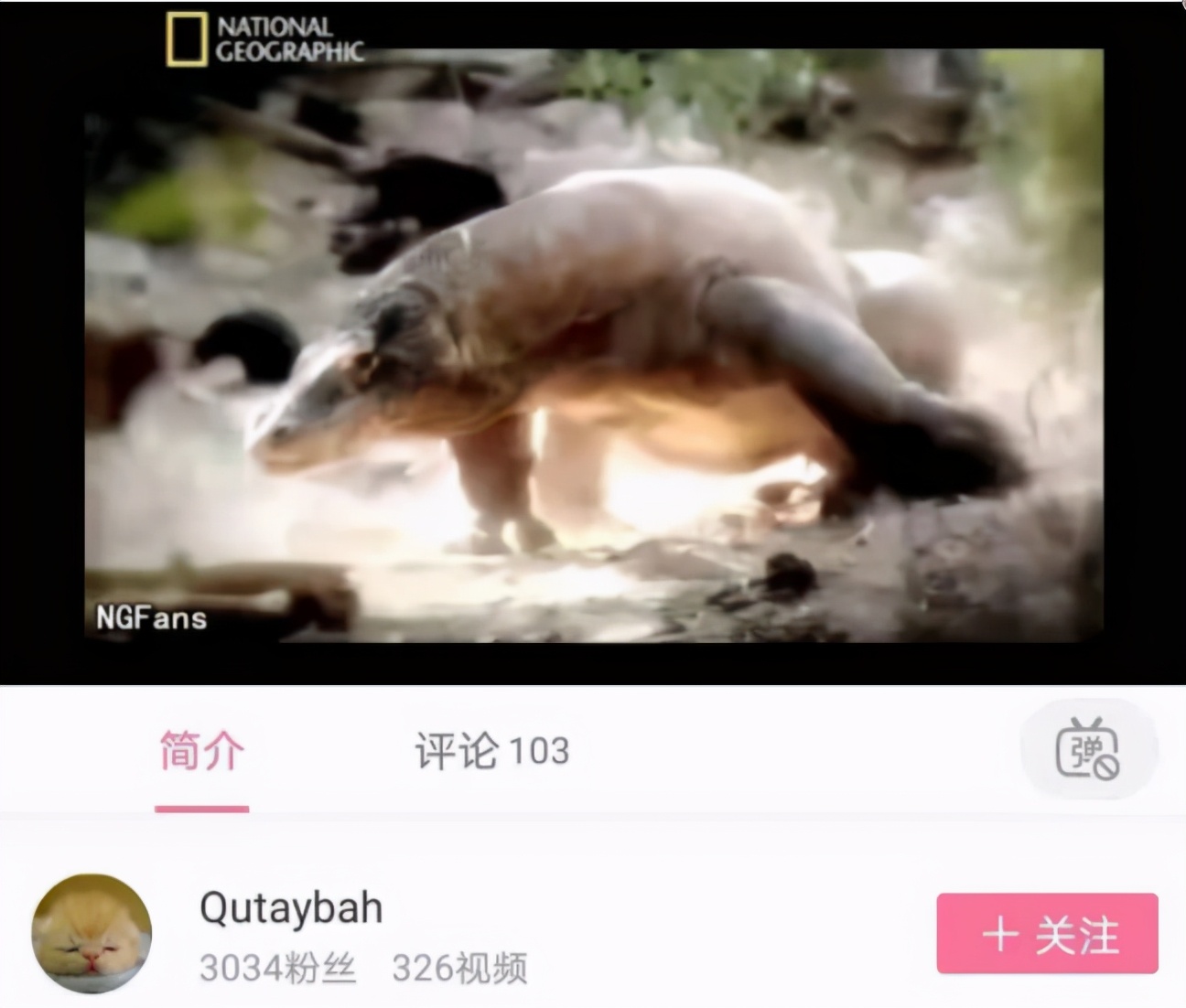 raz启蒙2岁,raz启蒙有用吗