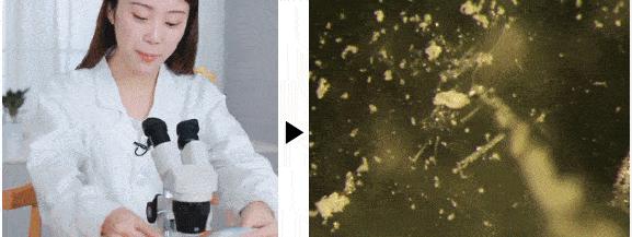 英国珀婷pertine除螨喷雾剂,瑞士珀婷pertine除螨喷雾剂