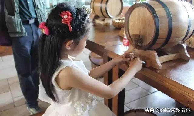 张裕卡斯特酒庄免费参观,烟台张裕卡斯特酒庄攻略