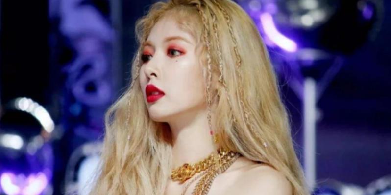 允儿的宠物，IU宠物，Lisa宠物，看到泫雅宠物：挺可爱