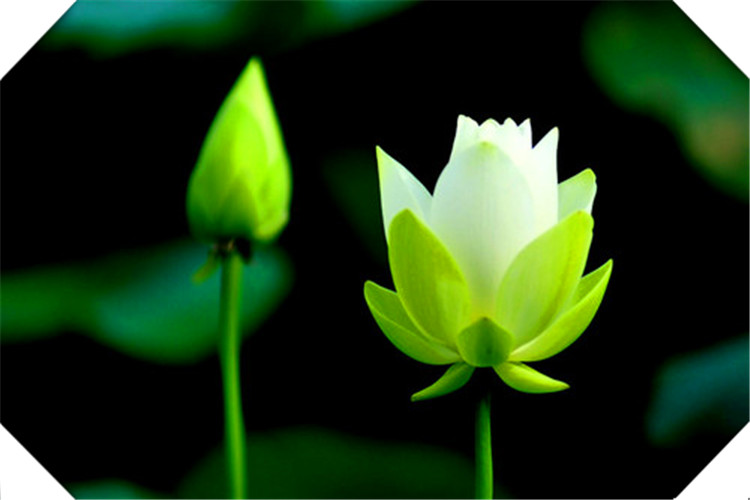 欠债太多无力偿还会怎样,一个人欠债无力偿还怎么办