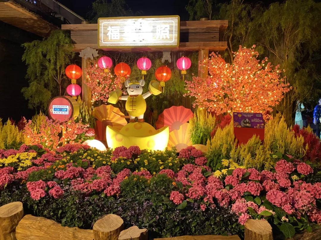 疫情期间去埃及旅游的亲历,疫情期间从深圳直飞洛杉矶体验