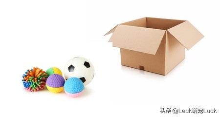 怎么用狗绳做狗玩具,怎么制作狗狗玩具