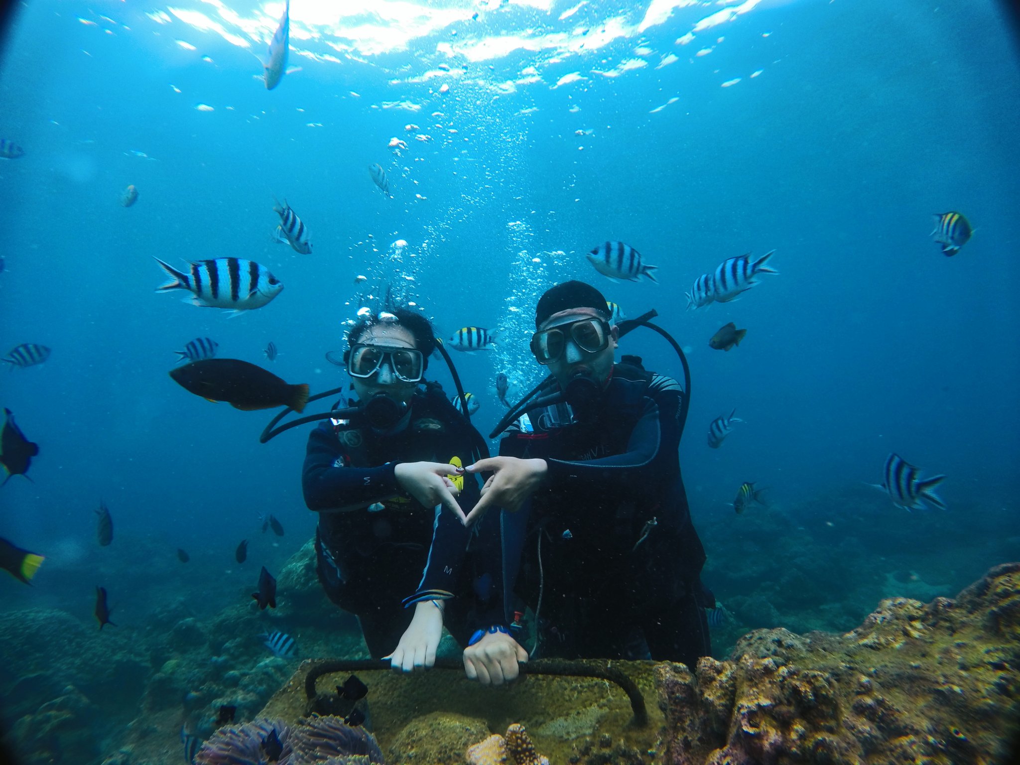 潜水的知识500字,潜水小知识大全