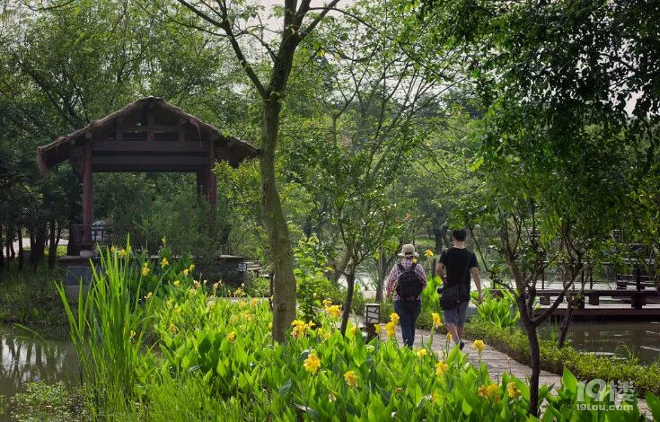 西溪湿地公园免费区域几点开门,西溪湿地免费区域攻略