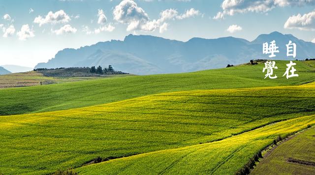 梁冬是个什么样的人,梁冬哪几种能力很重要