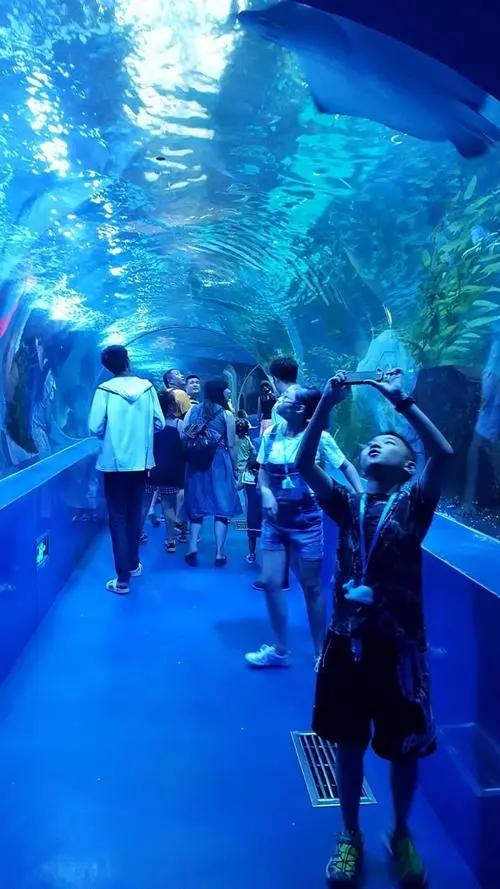 沈阳梦想王国游乐园,沈阳适合带孩子玩的游乐场